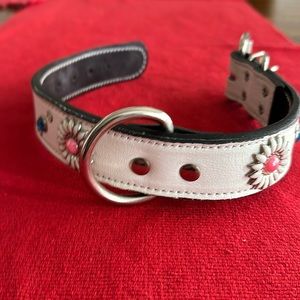 Custom-made dog collar for a dog named Daisy!